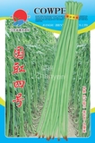 國豇四號